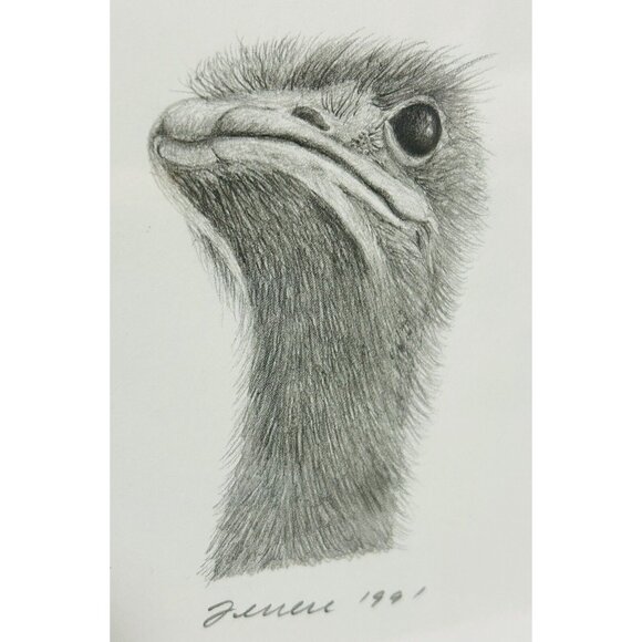 Lou Ferreri Ostriches Print Signed 1991 Edition 502/1000 St Paul Mn Black Frame - Picture 5 of 10